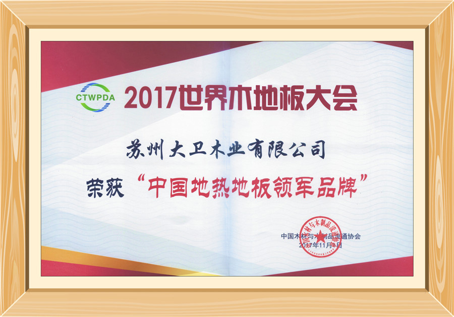 大衛(wèi)地板榮獲“中國地熱地板領軍品牌”0.jpg